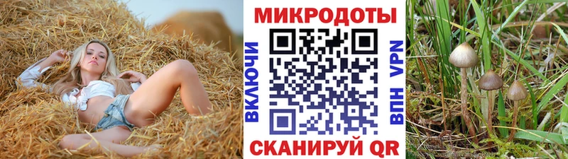 Псилоцибиновые грибы Psilocybine cubensis Октябрьский