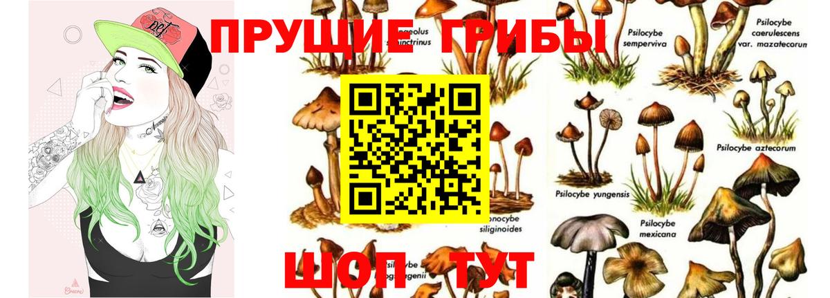 Октябрьский  Псилоцибиновые грибы MAGIC MUSHROOMS  Вход с VPN  Галлюциногенные грибы Magic Shrooms 