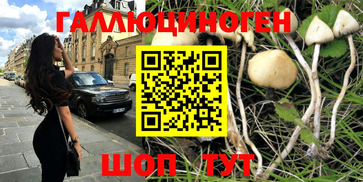 Псилоцибиновые грибы MAGIC MUSHROOMS Октябрьский